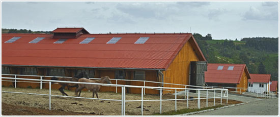 Eurofala w budynku inwentarskim